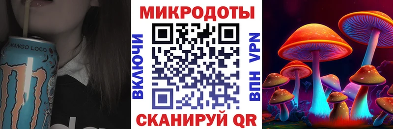МЕГА ТОР Губкинский Псилоцибиновые грибы Magic Shrooms