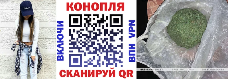 Конопля Bruce Banner  даркнет сайт  Губкинский 